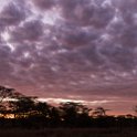 TZA MAR SerengetiNP 2016DEC25 Nguchiro 004 : 2016, 2016 - African Adventures, Africa, Date, December, Eastern, Mara, Month, Nguchiro Camp, Places, Serengeti National Park, Tanzania, Trips, Year
